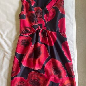 Rachel Roy Size 4 Rose Dress